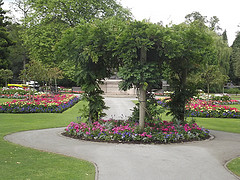 Britain In Bloom Flowers and Trees