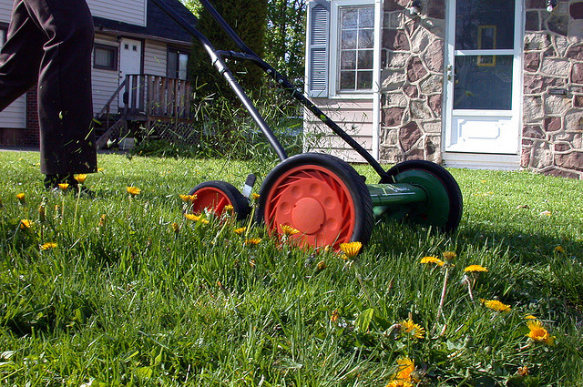 lawnmower