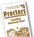 Picture for category Calcified Seaweed